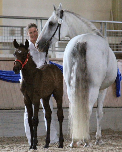 Avansa-140-1-und-Amelia