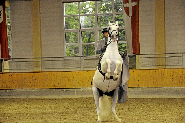 _DSC1262 (640x425)