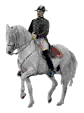pferd01